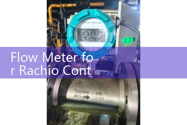 Flow Meter for Rachio Controllers: Wireless Leak Detection and Smart Irrigation Sizing