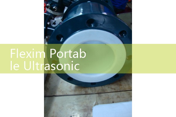 Flexim Portable Ultrasonic Flow Meter: Field Liquid Testing Inspection Kits