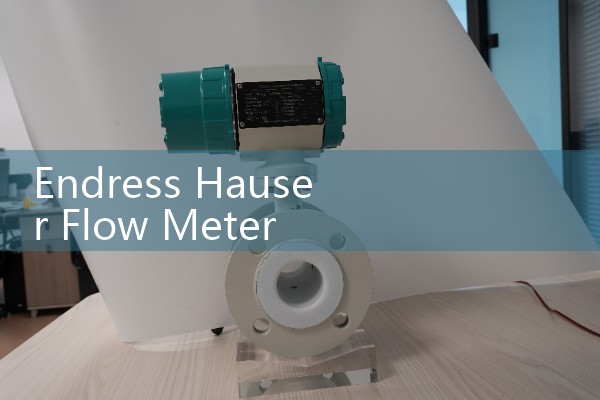Endress Hauser Flow Meter Manual PDF Free Download: Technical Document Library