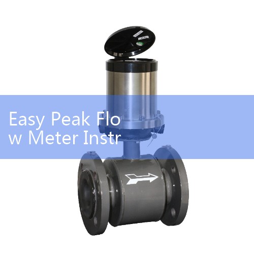 Easy Peak Flow Meter Instructions: Tracking Asthma and Lung Capacity at Home