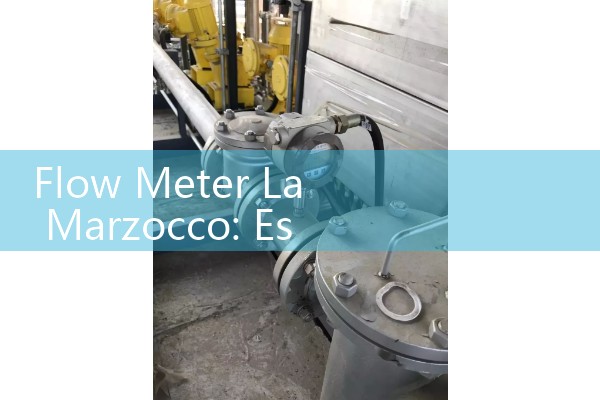 Flow Meter La Marzocco: Espresso Machine Volumetric Brew Controls