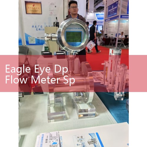 Eagle Eye Dp Flow Meter Specifications: Accurate Differential Pressure Testing